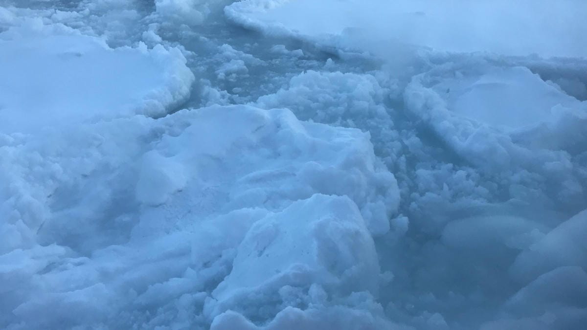 84975949_183107392756510_7482735844642521088_n_副本.jpg 84975949_183107392756510_7482735844642521088_n_副本.jpg