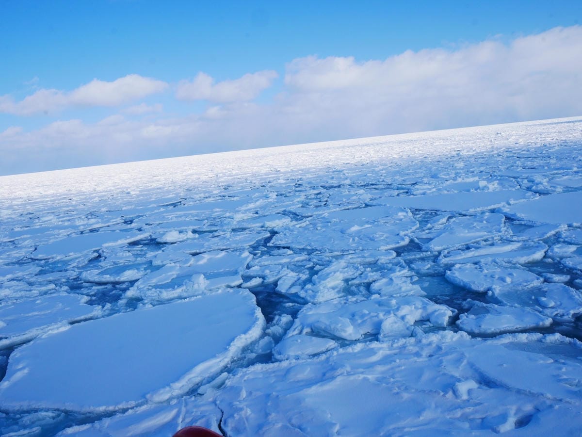 P1530477_副本.jpg P1530477_副本.jpg