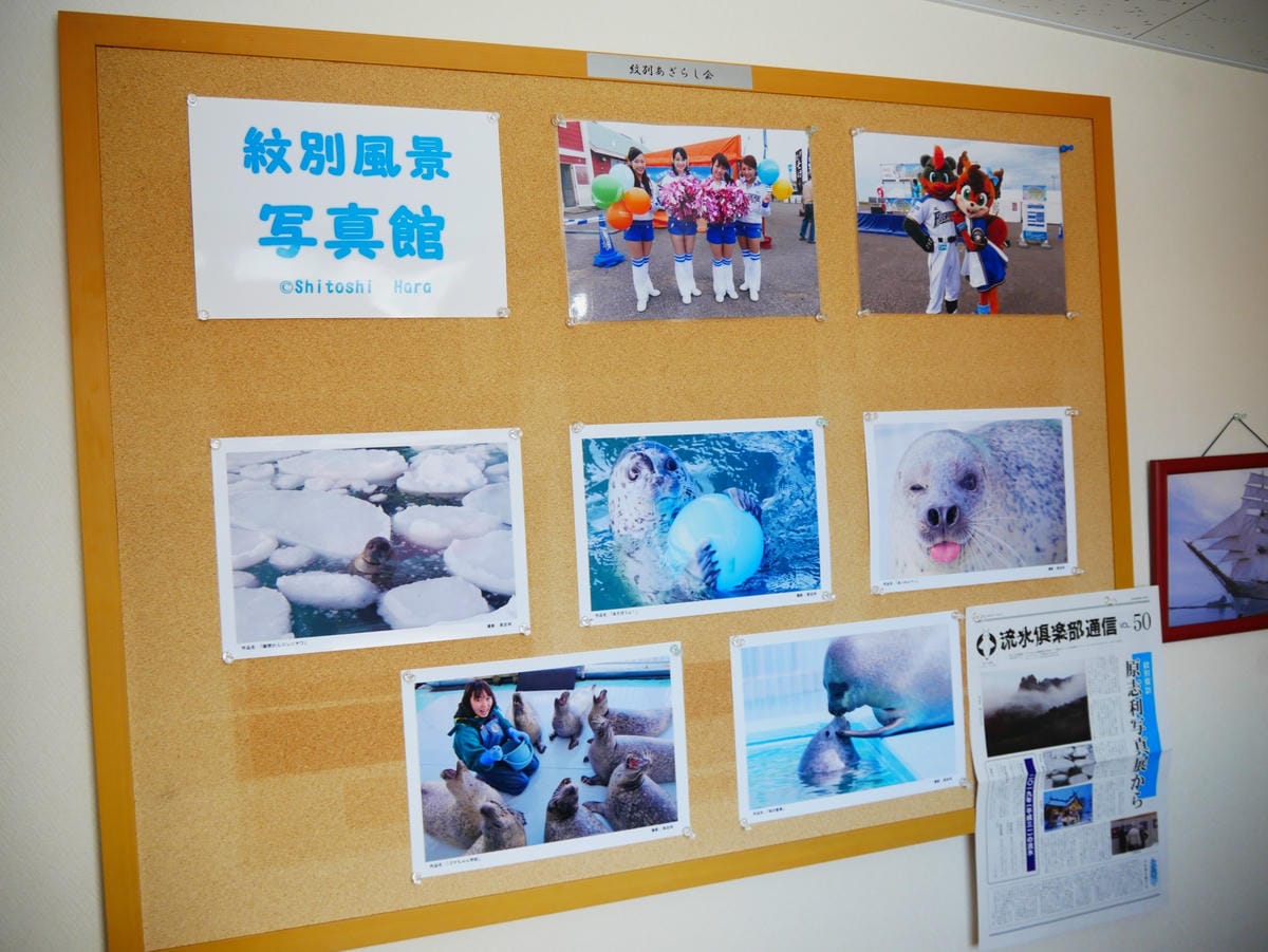 P1530263_副本.jpg P1530263_副本.jpg