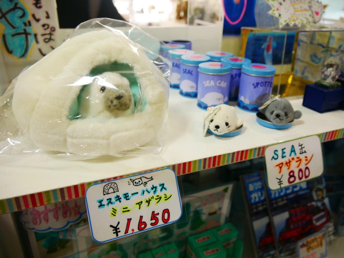 P1530576_副本.jpg P1530576_副本.jpg