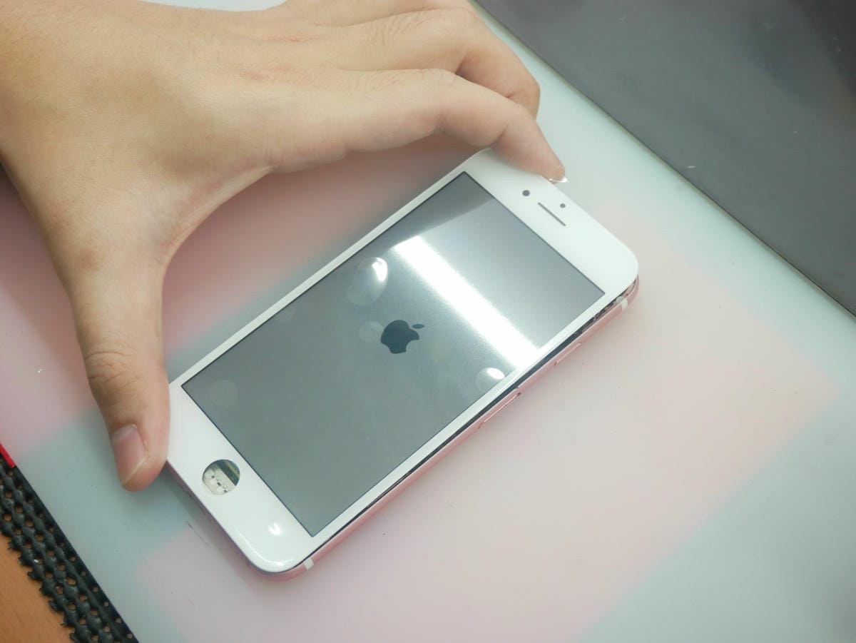 P1550916.JPG P1550916.JPG