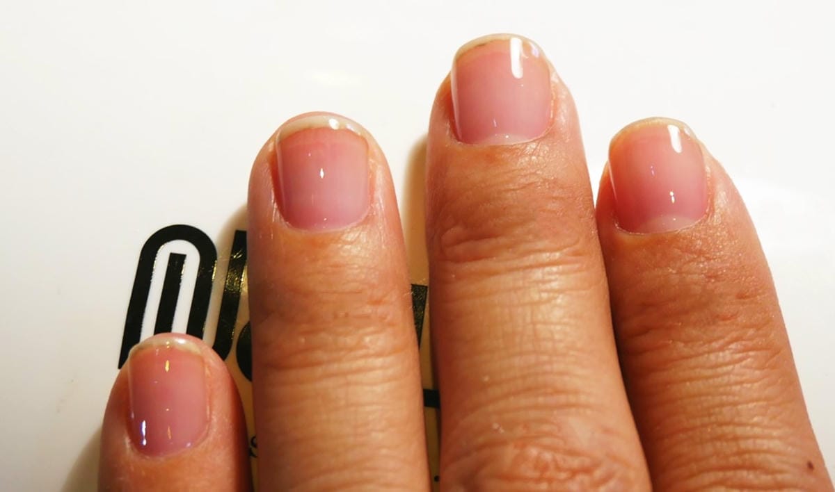 P1570175_副本.jpg P1570175_副本.jpg