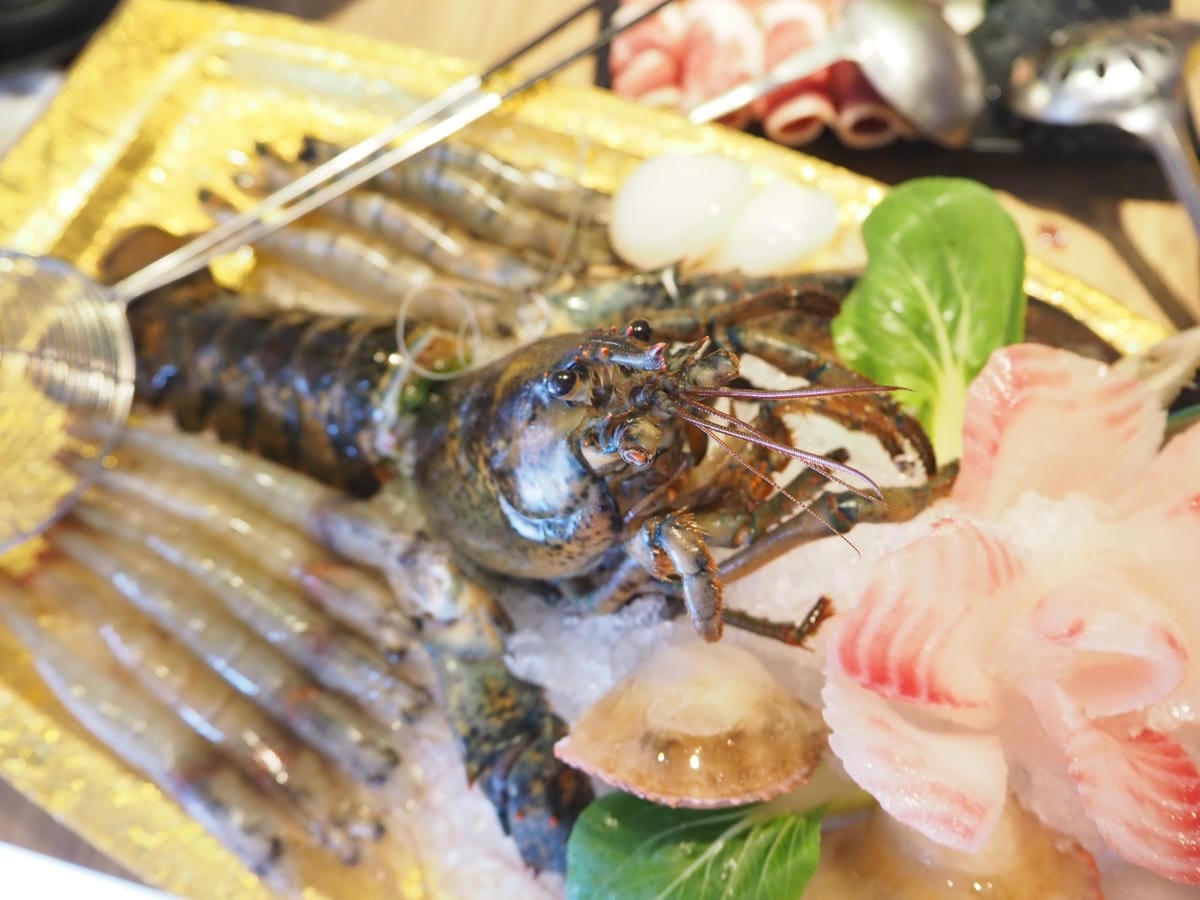 P1010042_副本.jpg P1010042_副本.jpg