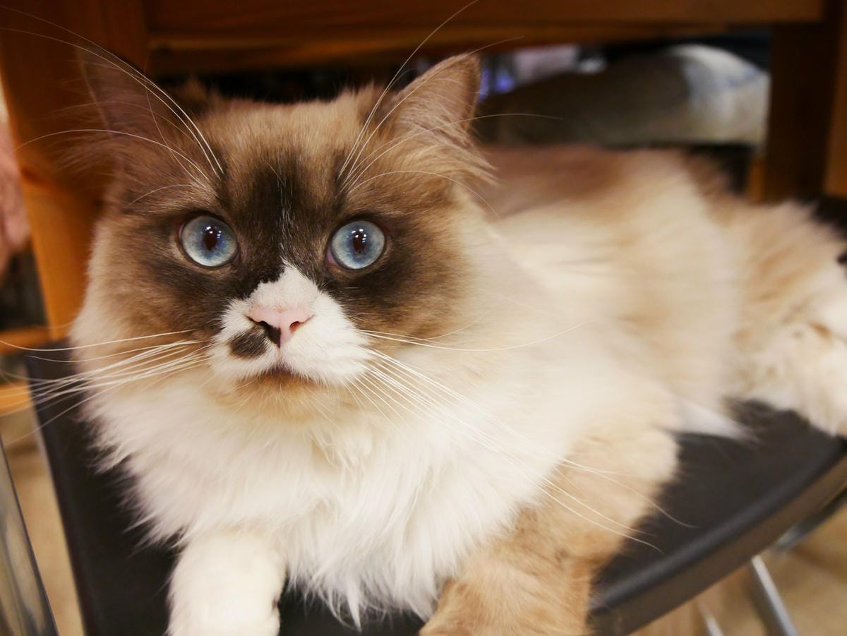 P1620787_副本.jpg P1620787_副本.jpg