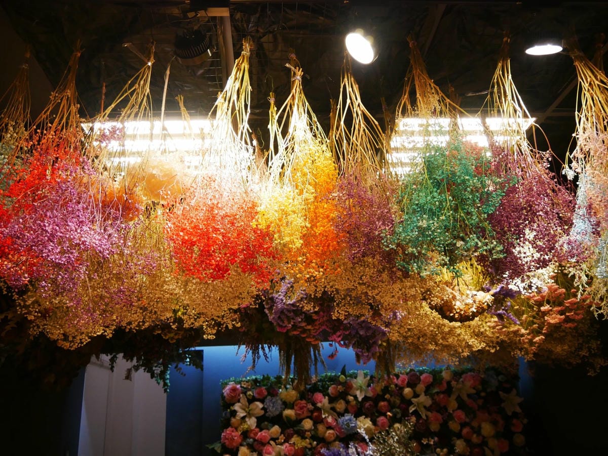 P1620776_副本.jpg P1620776_副本.jpg