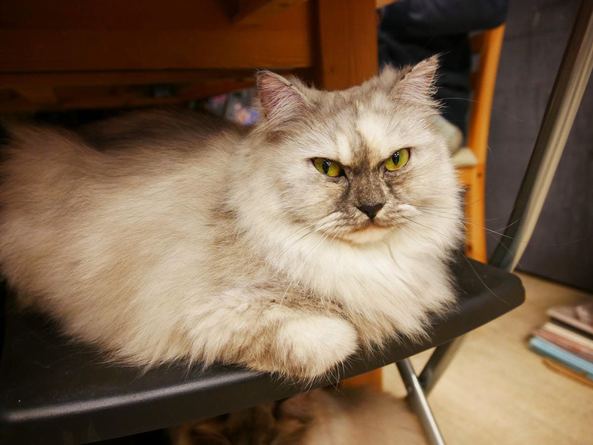 P1620803_副本.jpg P1620803_副本.jpg