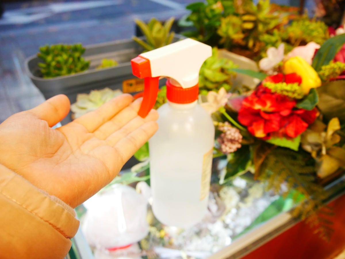 P1620724_副本.jpg P1620724_副本.jpg