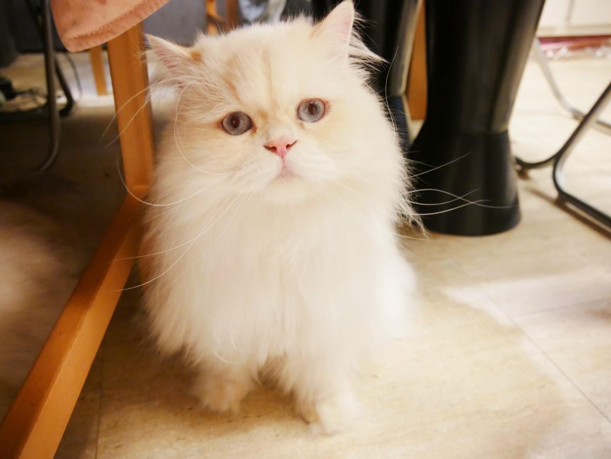 P1620770_副本.jpg P1620770_副本.jpg