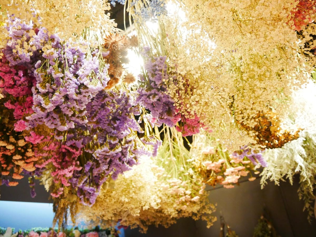 P1620733_副本.jpg P1620733_副本.jpg