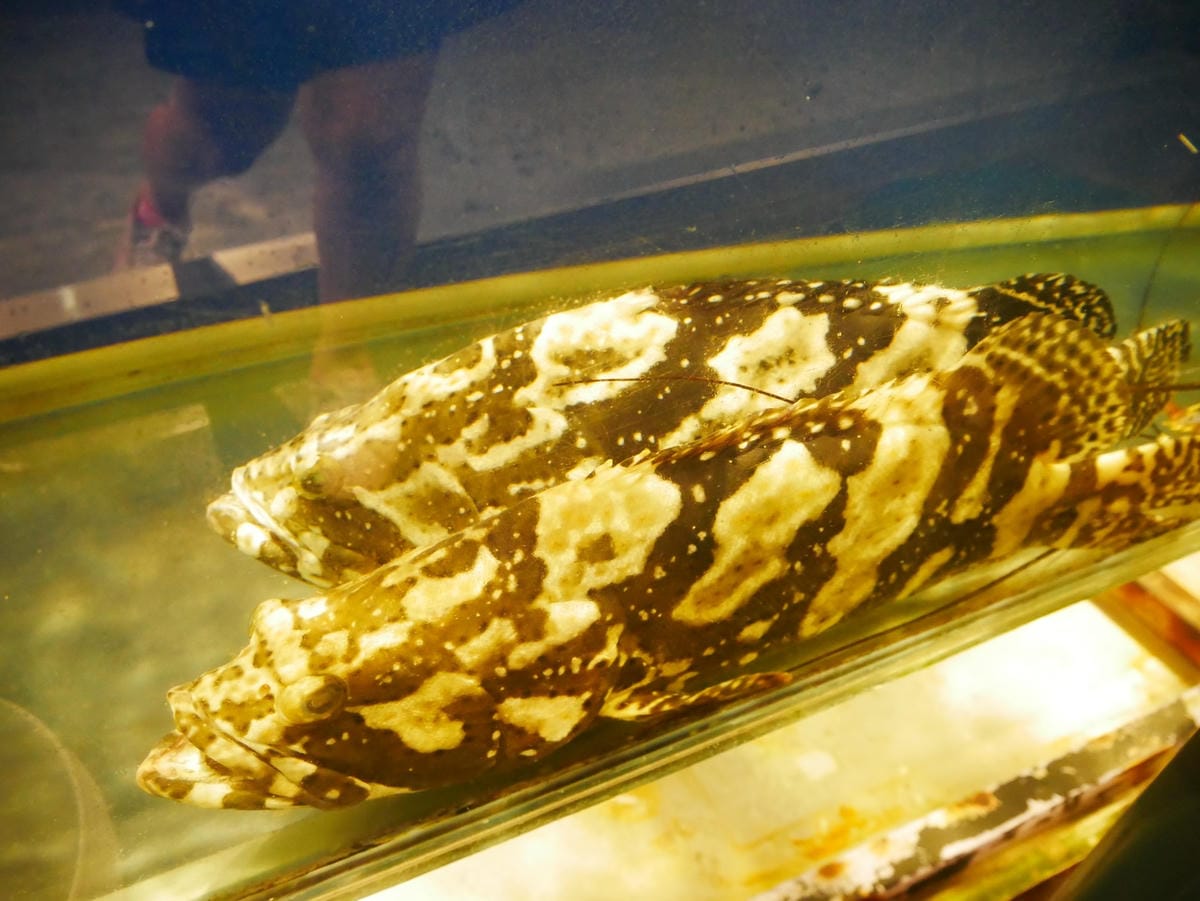 P1630290_副本.jpg P1630290_副本.jpg