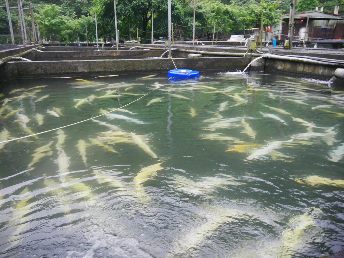 P1640869.jpg P1640869.jpg