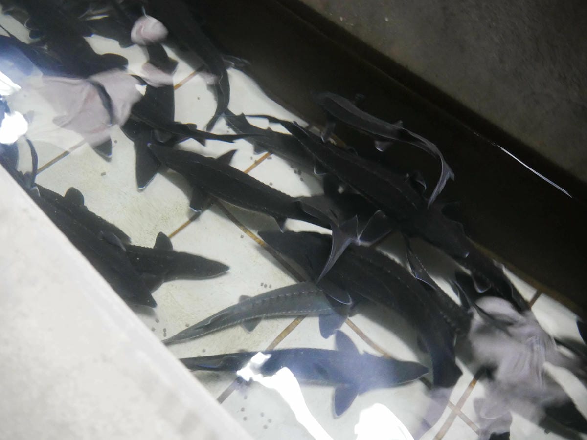 P1640885.jpg P1640885.jpg