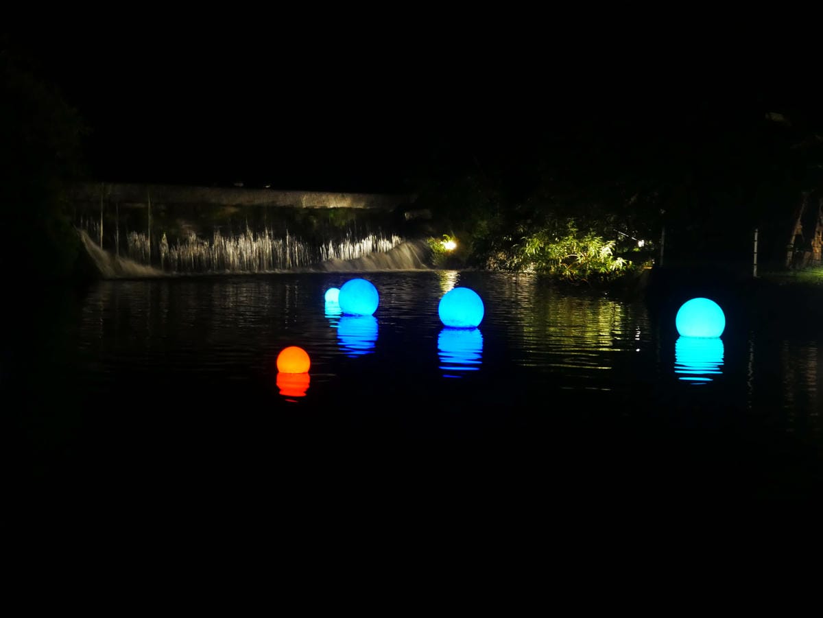 P1650096.jpg P1650096.jpg