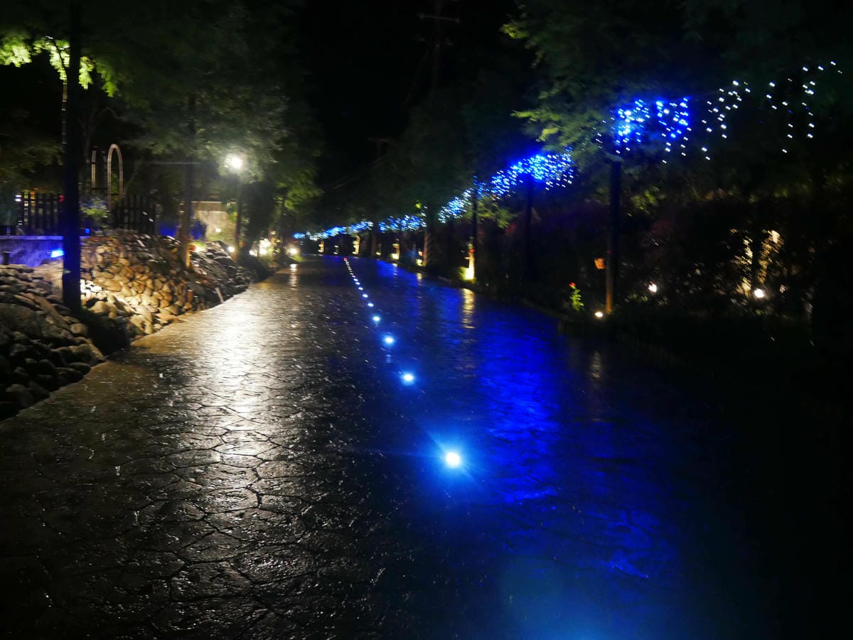 P1650087.jpg P1650087.jpg