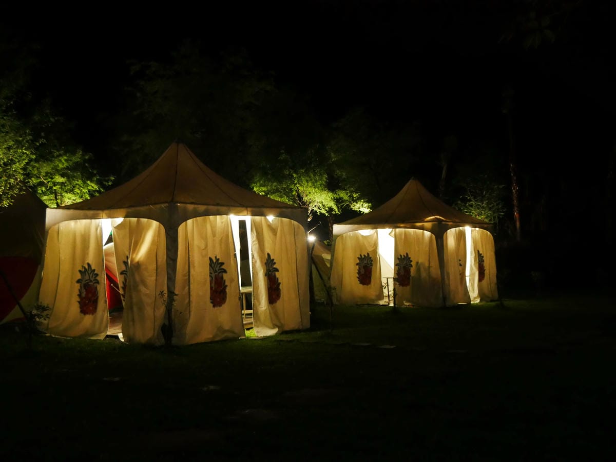 P1650120.jpg P1650120.jpg