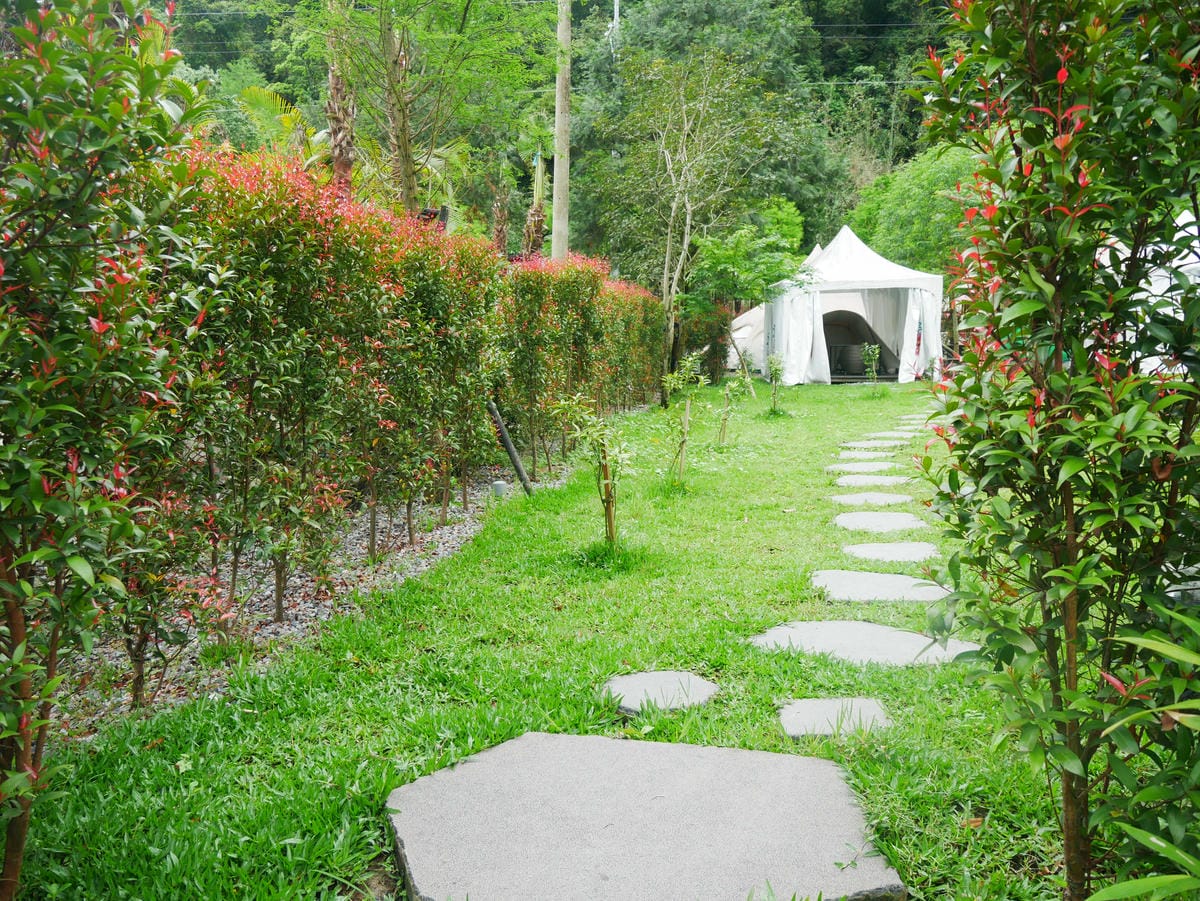 P1650397.jpg P1650397.jpg