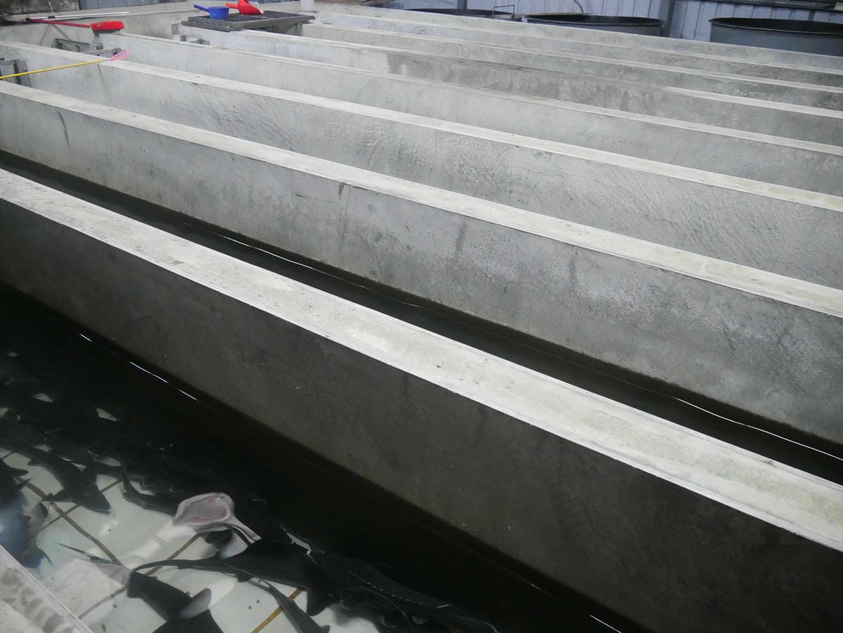 P1640884.jpg P1640884.jpg