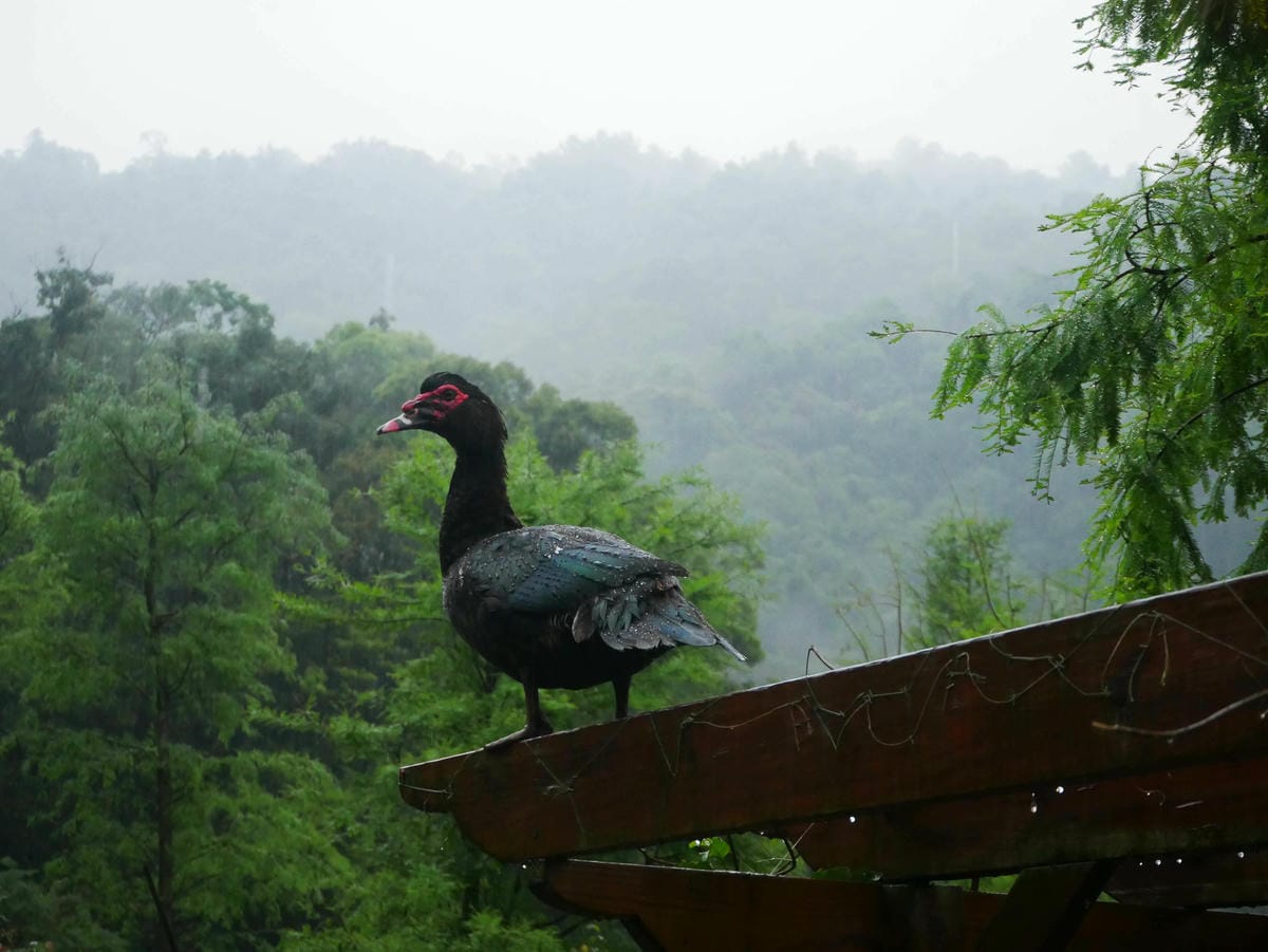 P1640910.jpg P1640910.jpg