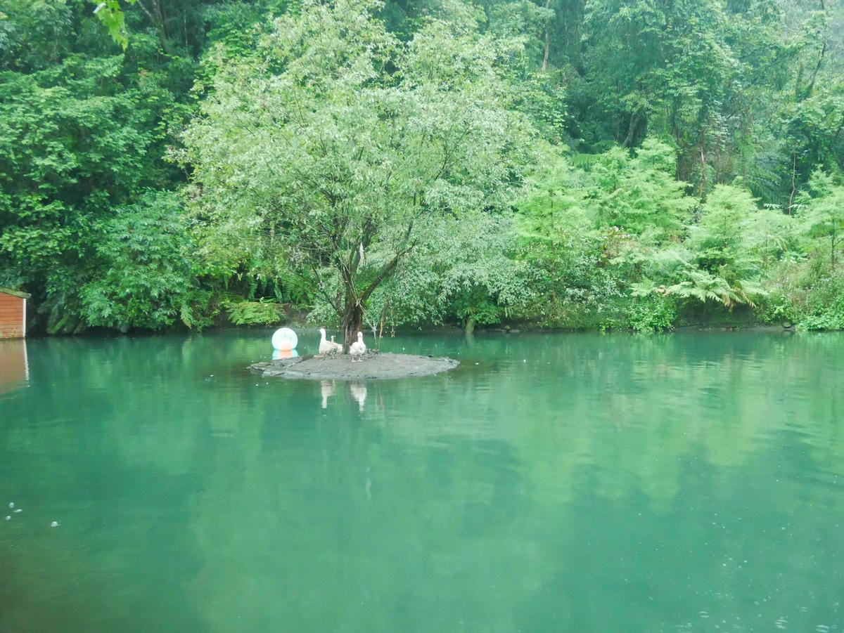 P1640894.jpg P1640894.jpg