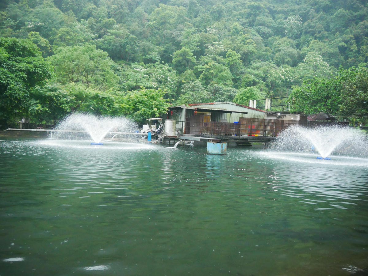 P1640875.jpg P1640875.jpg