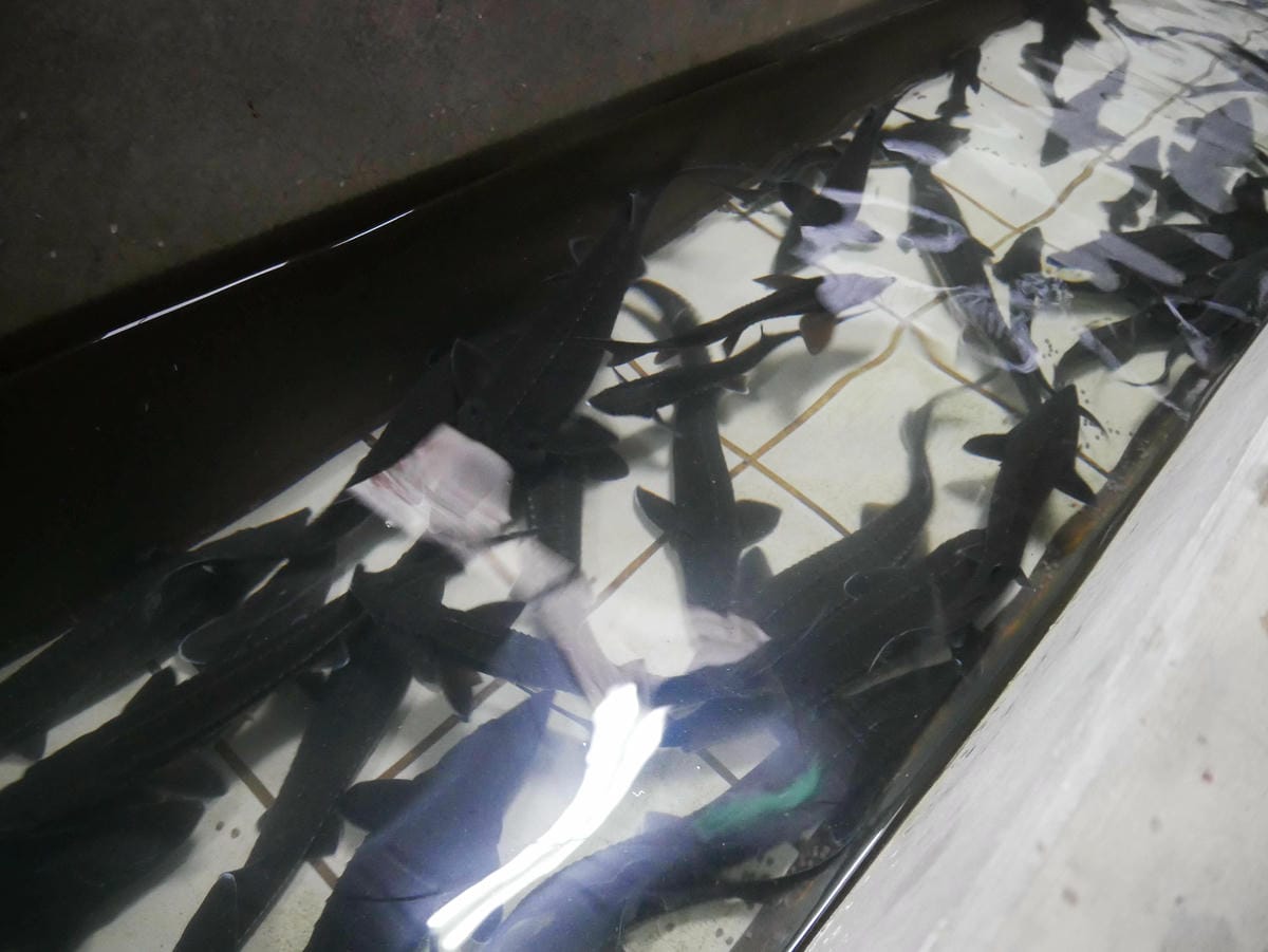 P1640881.jpg P1640881.jpg