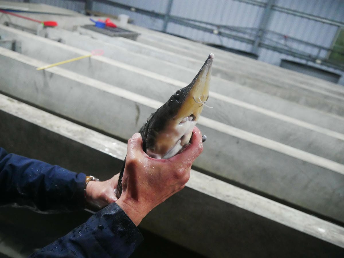 P1640880.jpg P1640880.jpg