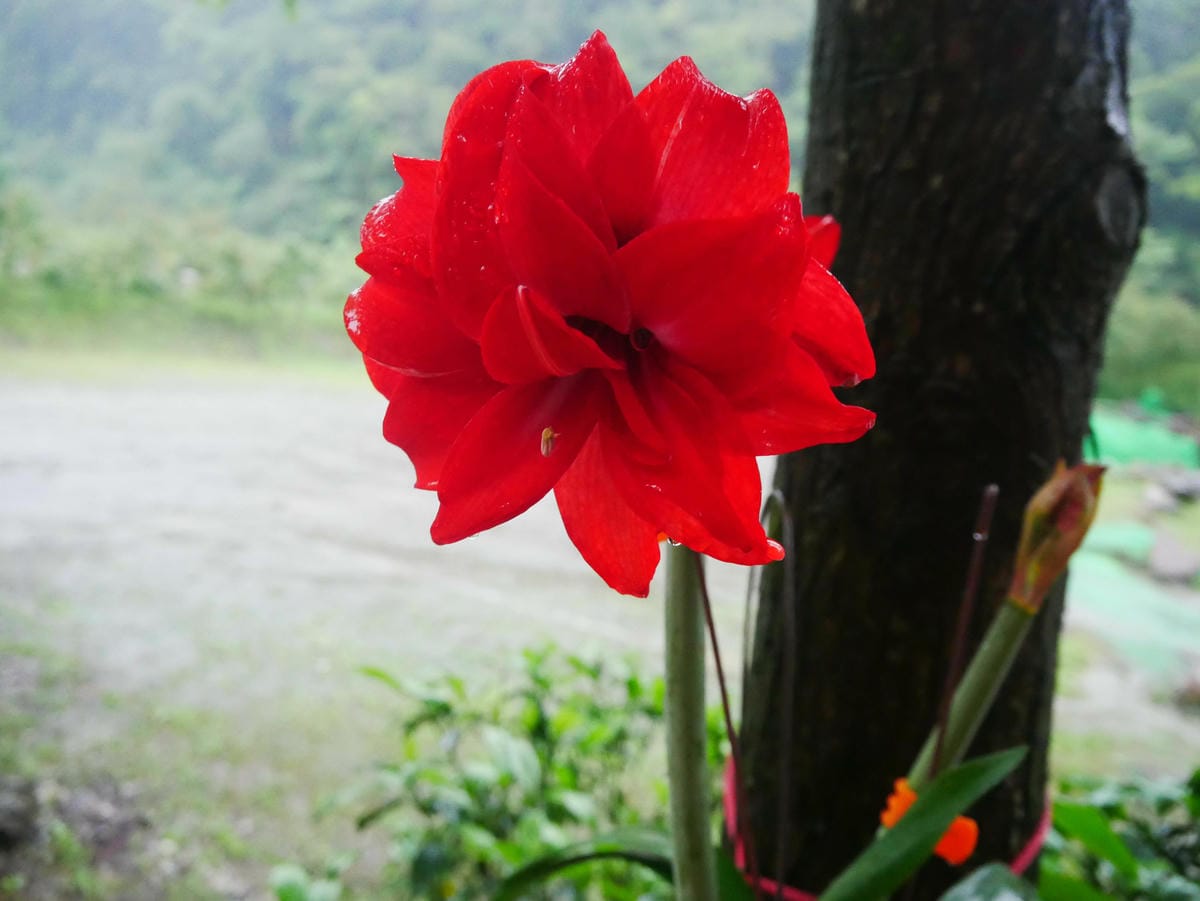 P1640898.jpg P1640898.jpg