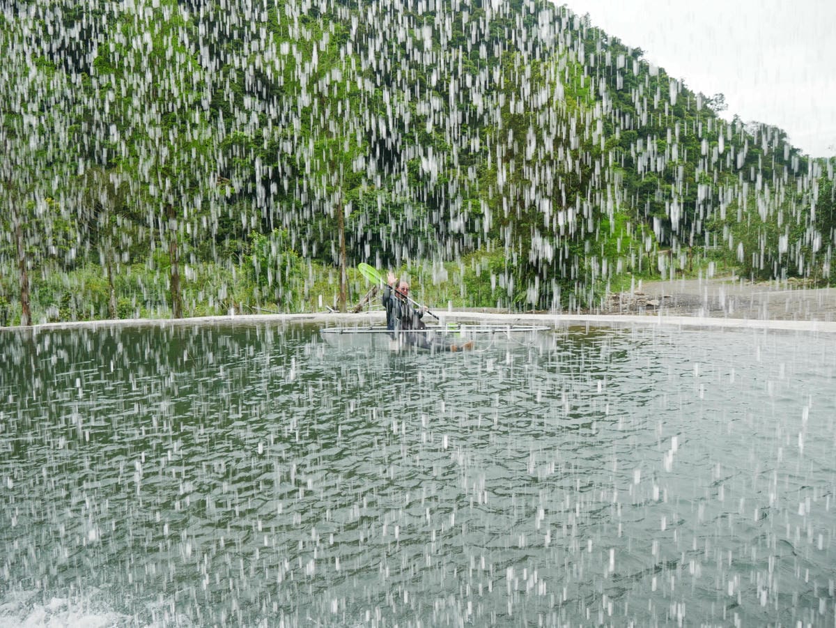 P1650382.jpg P1650382.jpg