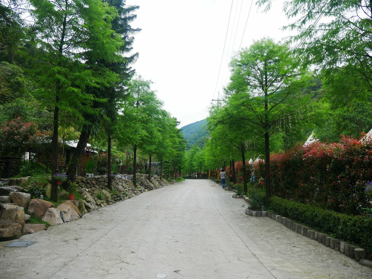 P1650309.jpg P1650309.jpg