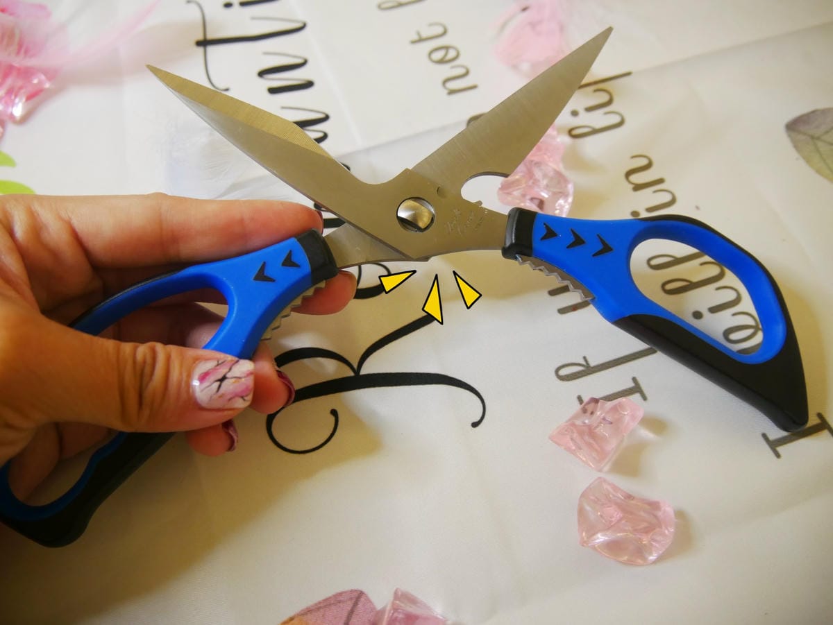 P1650203_副本.jpg P1650203_副本.jpg