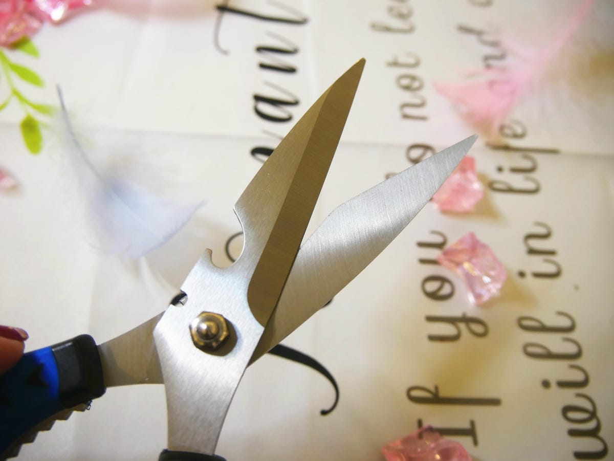 P1650198_副本.jpg P1650198_副本.jpg