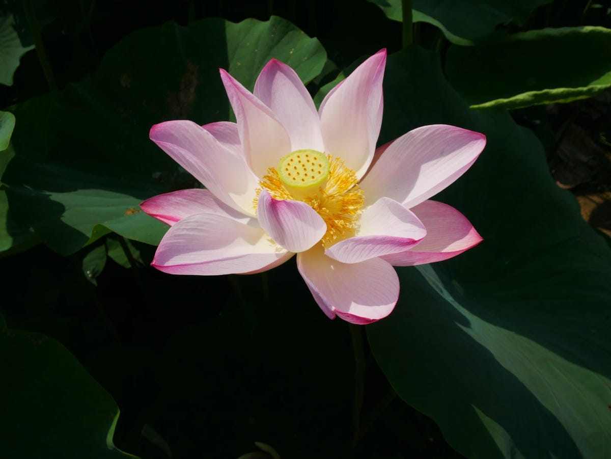 26 (2)_副本.jpg 26 (2)_副本.jpg