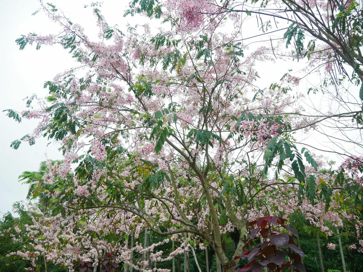 16 (3)_副本.jpg 16 (3)_副本.jpg