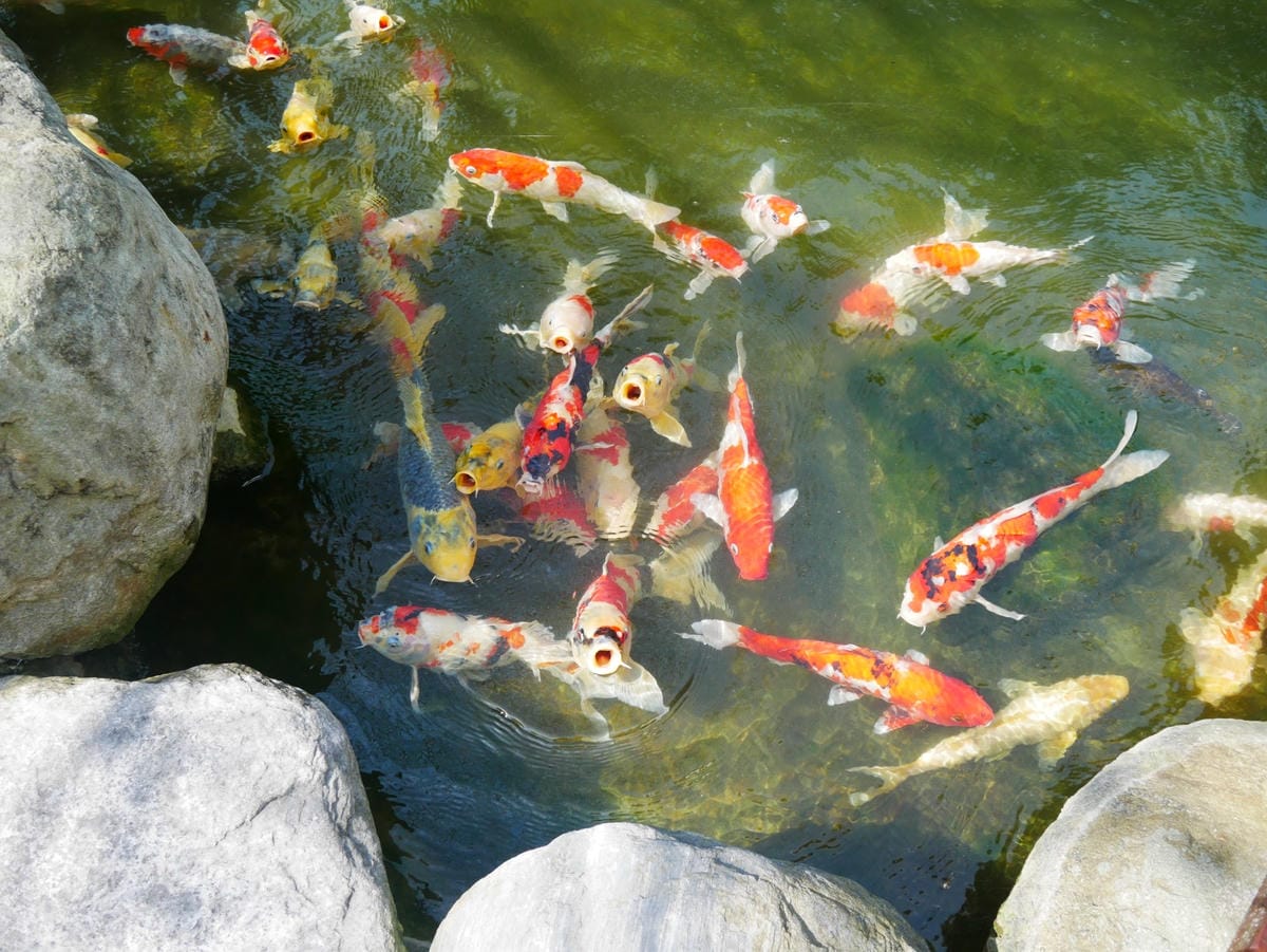 18 (3)_副本.jpg 18 (3)_副本.jpg