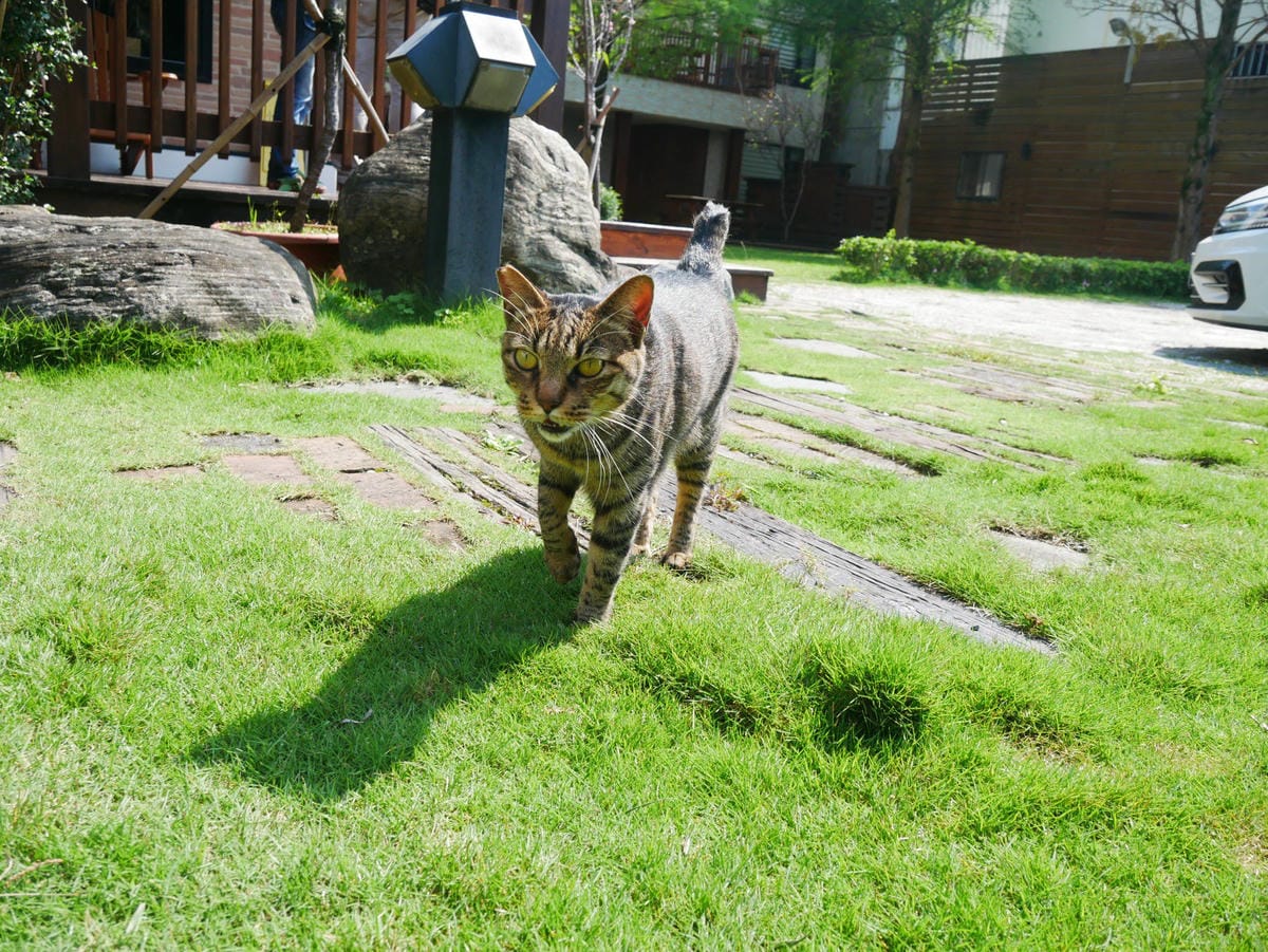 18 (1)_副本.jpg 18 (1)_副本.jpg