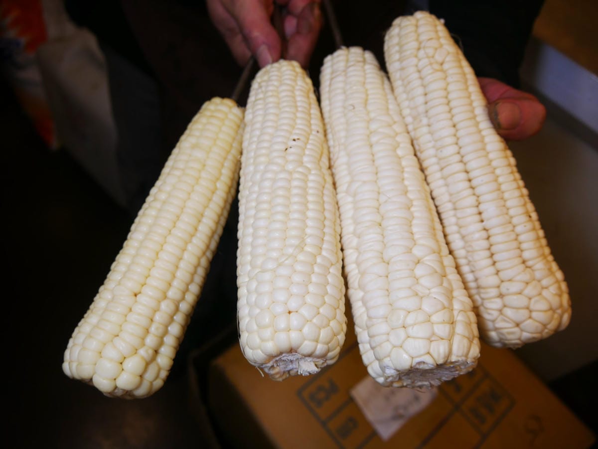 P1660529_副本.jpg P1660529_副本.jpg