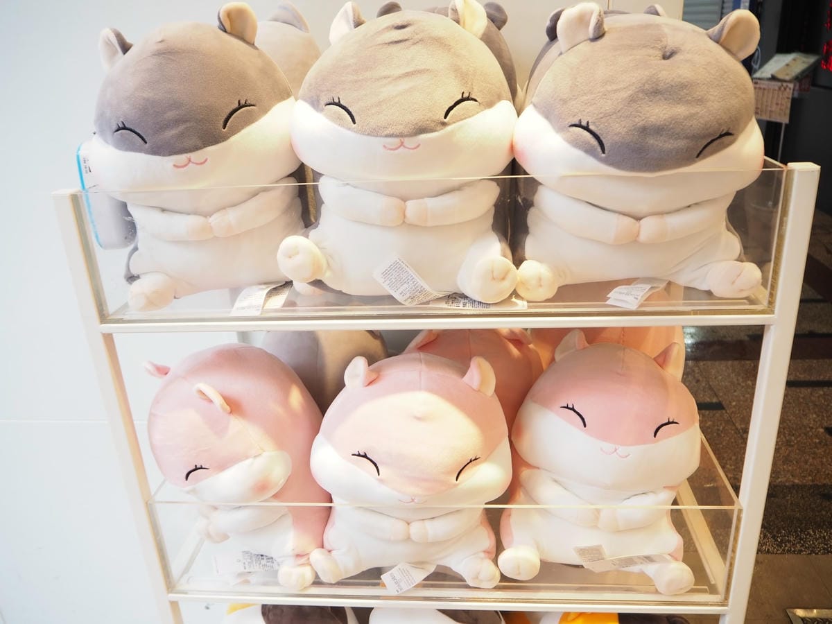 P1010111_副本.jpg P1010111_副本.jpg