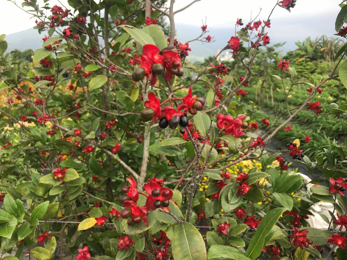 IMG_7773.jpg IMG_7773.jpg