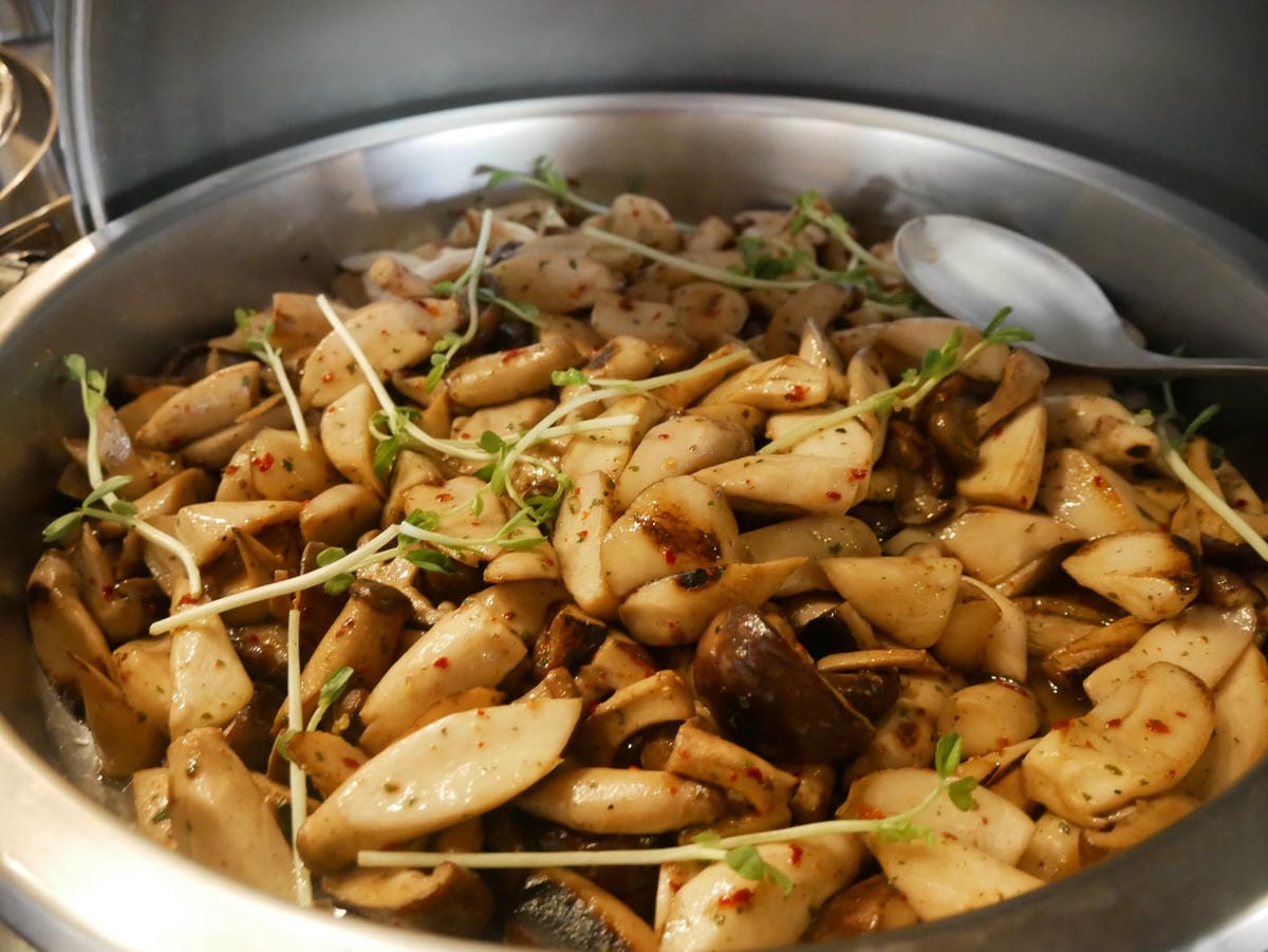 P1690134_副本.jpg P1690134_副本.jpg