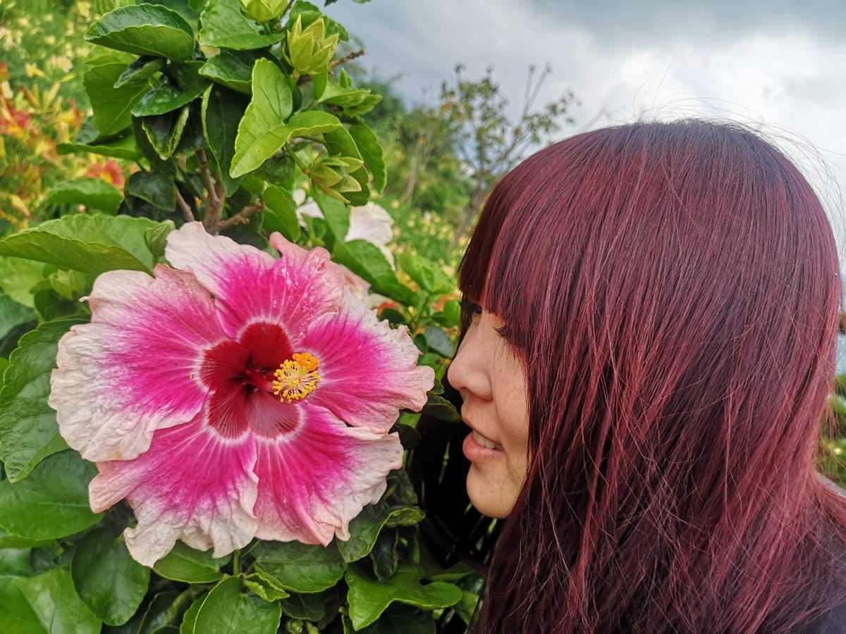 IMG_7774_副本.jpg IMG_7774_副本.jpg