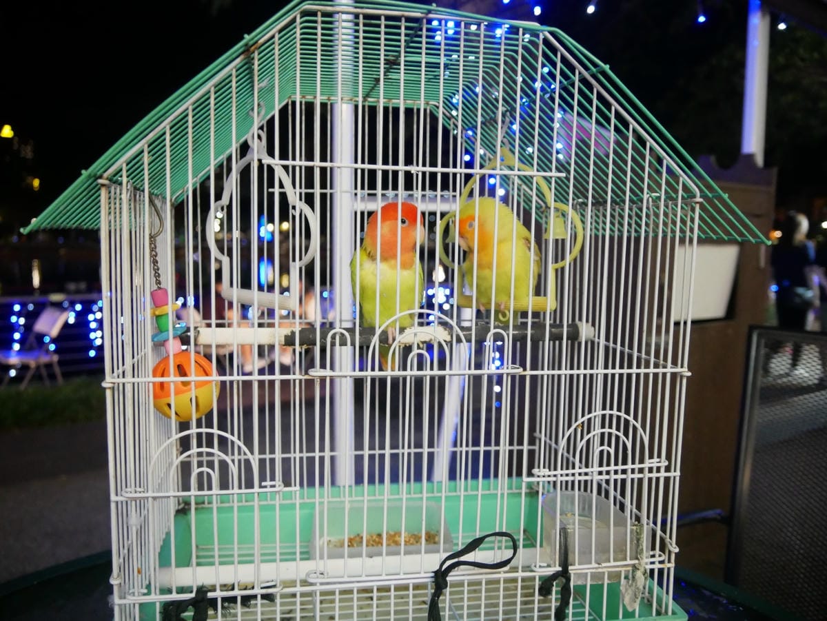 P1680892_副本.jpg P1680892_副本.jpg