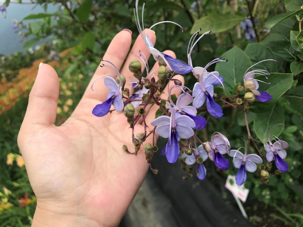 IMG_7764.jpg IMG_7764.jpg