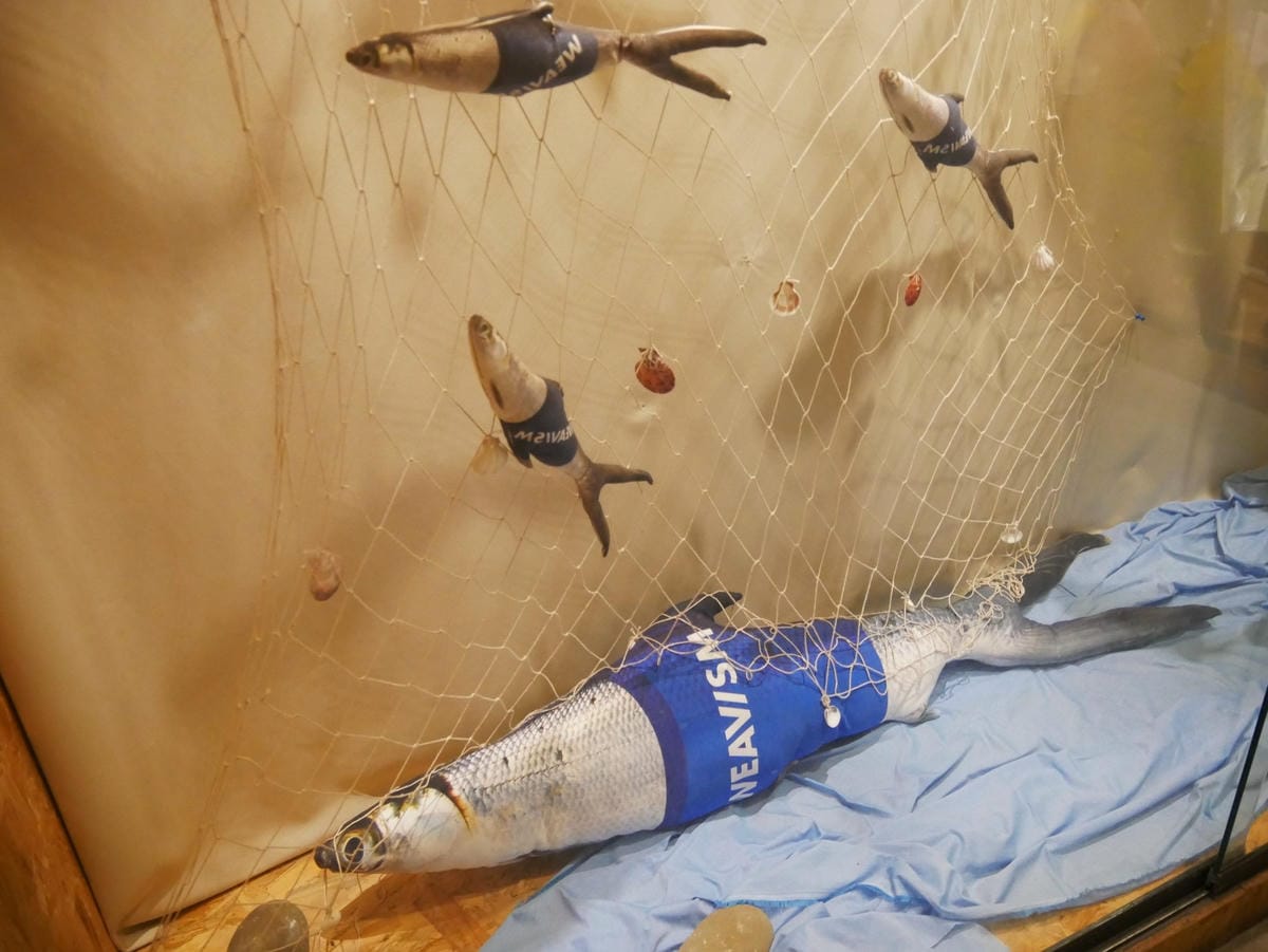 P1650595_副本.jpg P1650595_副本.jpg