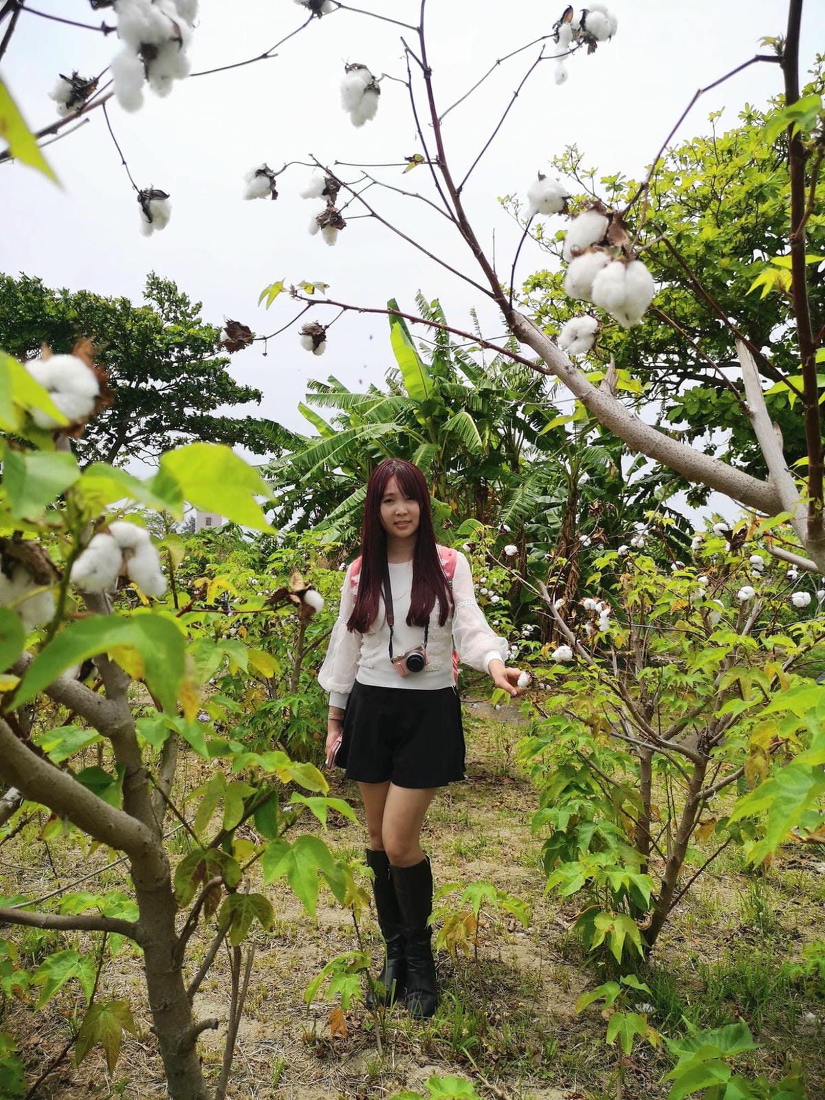 94259763_278212556513038_1593904741987909632_n - 複製_副本.jpg 94259763_278212556513038_1593904741987909632_n - 複製_副本.jpg