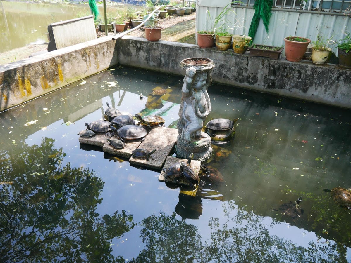 P1650492_副本.jpg P1650492_副本.jpg