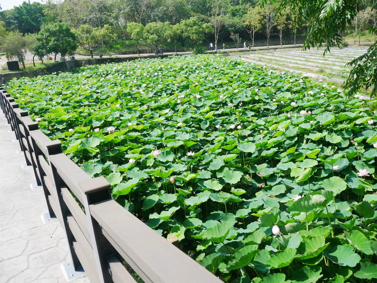 P1650470_副本.jpg P1650470_副本.jpg