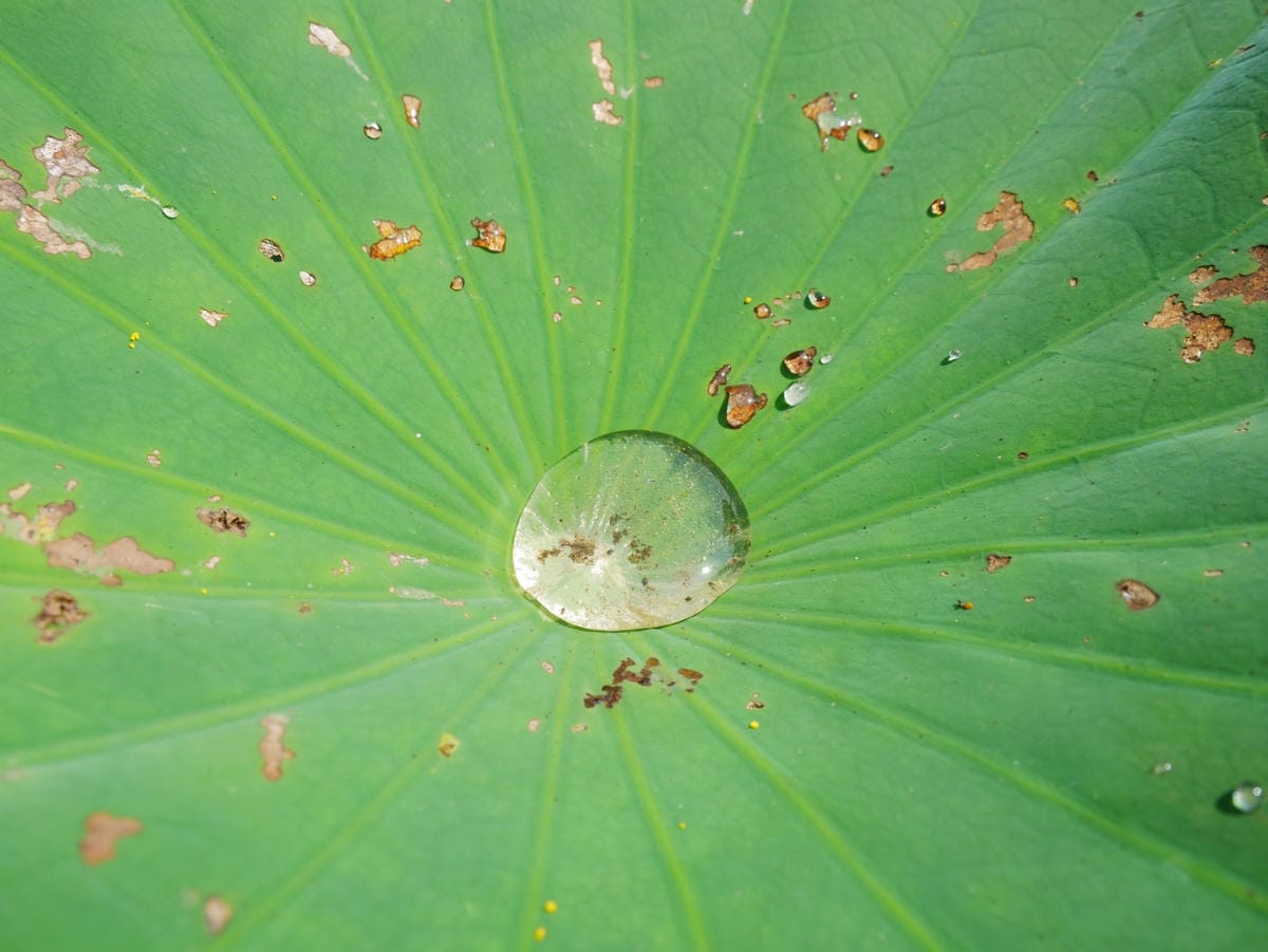 P1650466_副本.jpg P1650466_副本.jpg