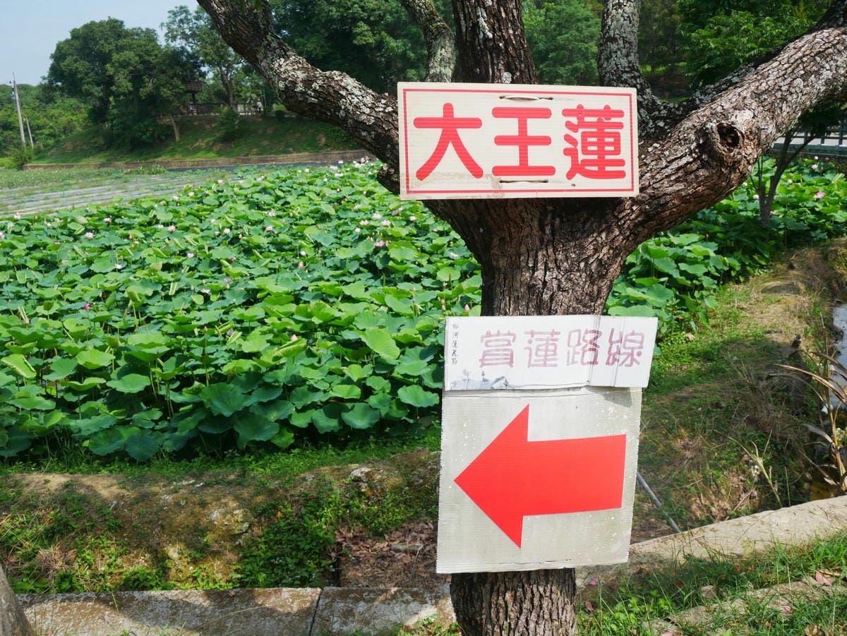 P1650443_副本.jpg P1650443_副本.jpg