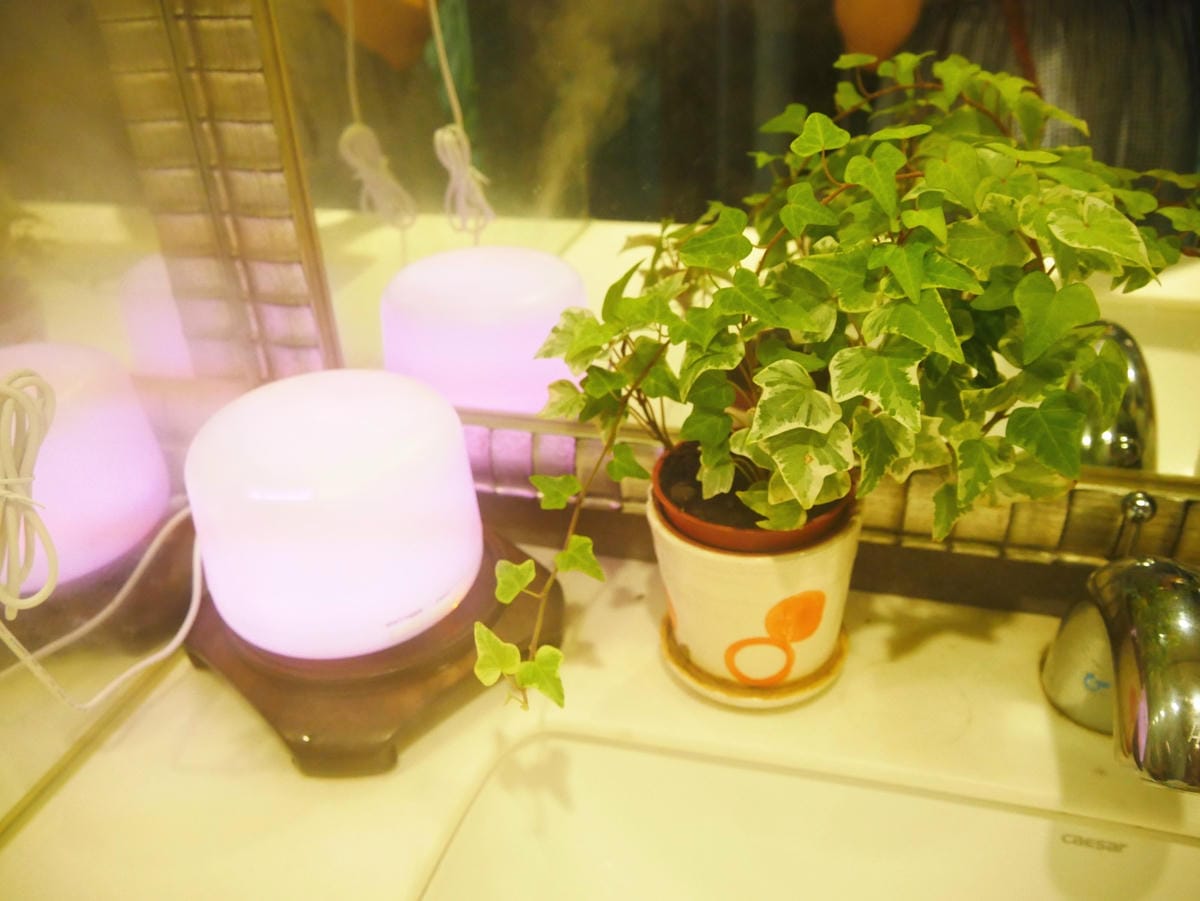 P1710915_副本.jpg P1710915_副本.jpg