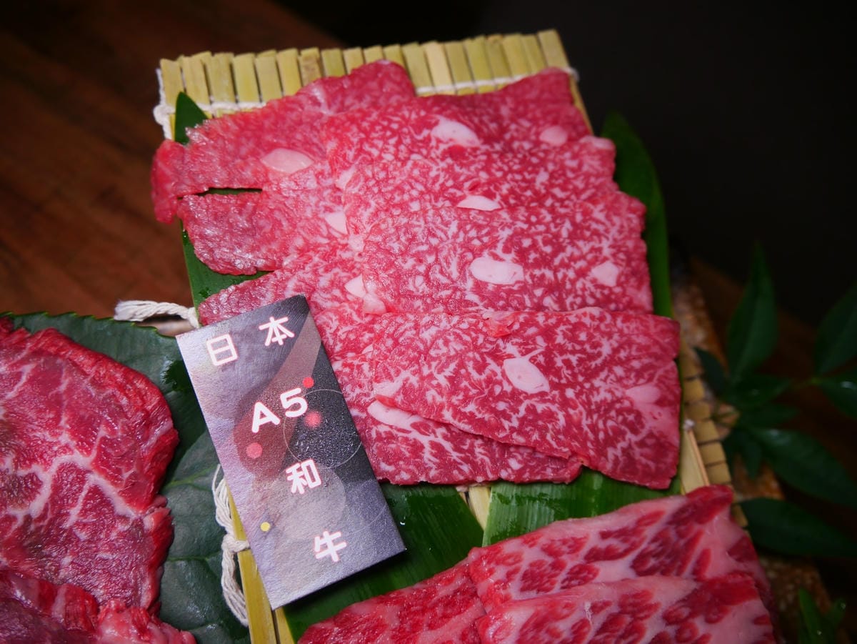 P1720884_副本.jpg P1720884_副本.jpg